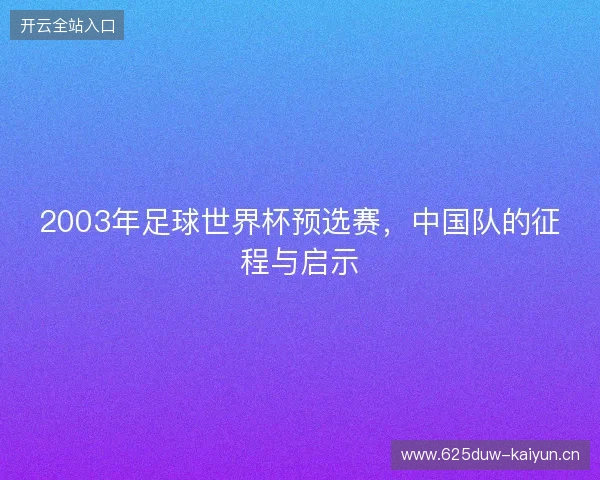 2003年足球世界杯预选赛，中国队的征程与启示